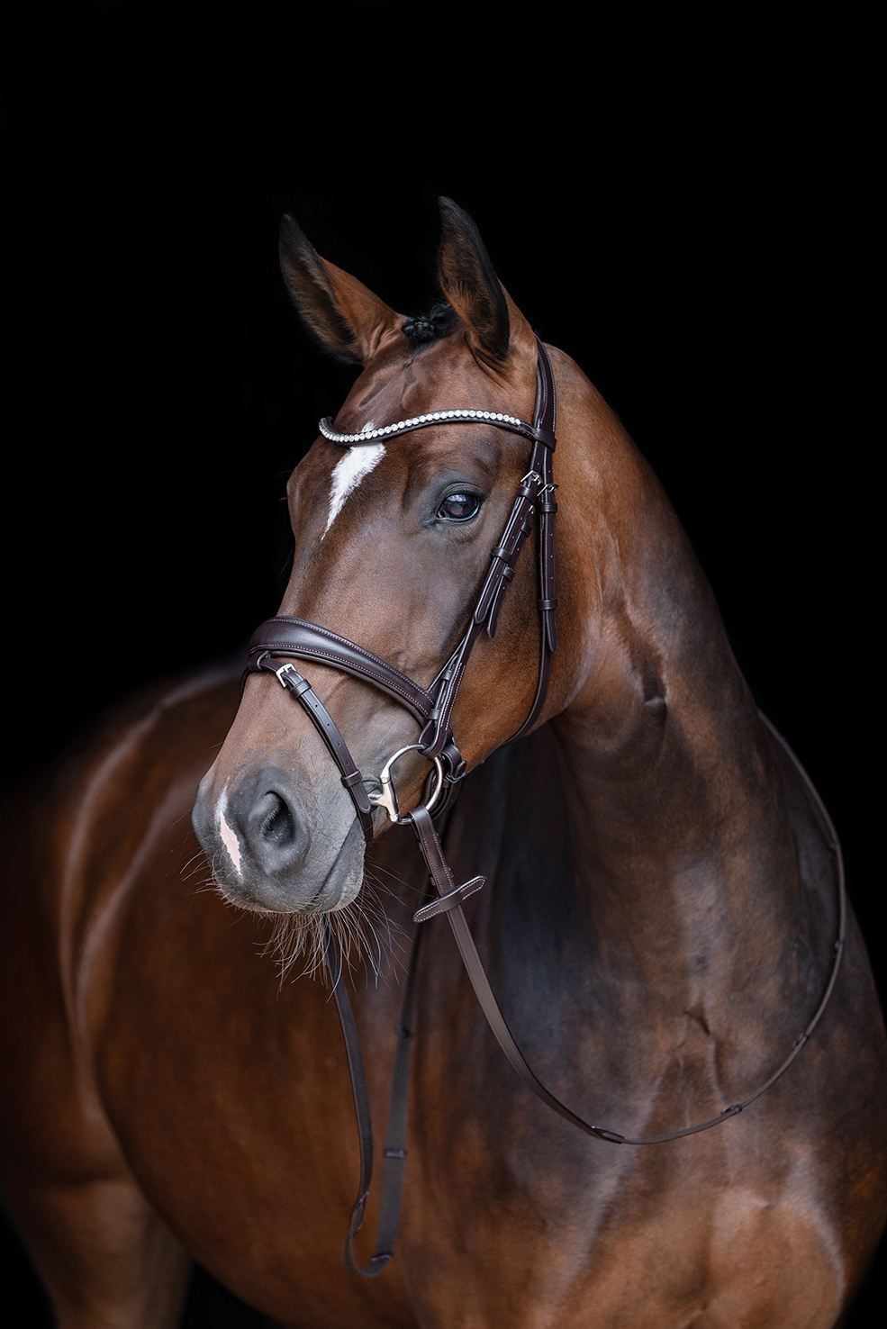 HKM Bridle Melinda - Just Horse Riders