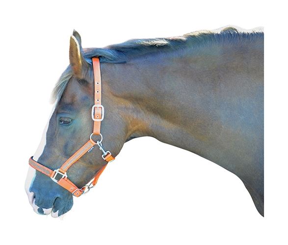 Hy Diamante Head Collar - Just Horse Riders