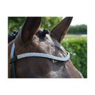 Hy Diamond Flash Bridle with Rubber Reins - Just Horse Riders