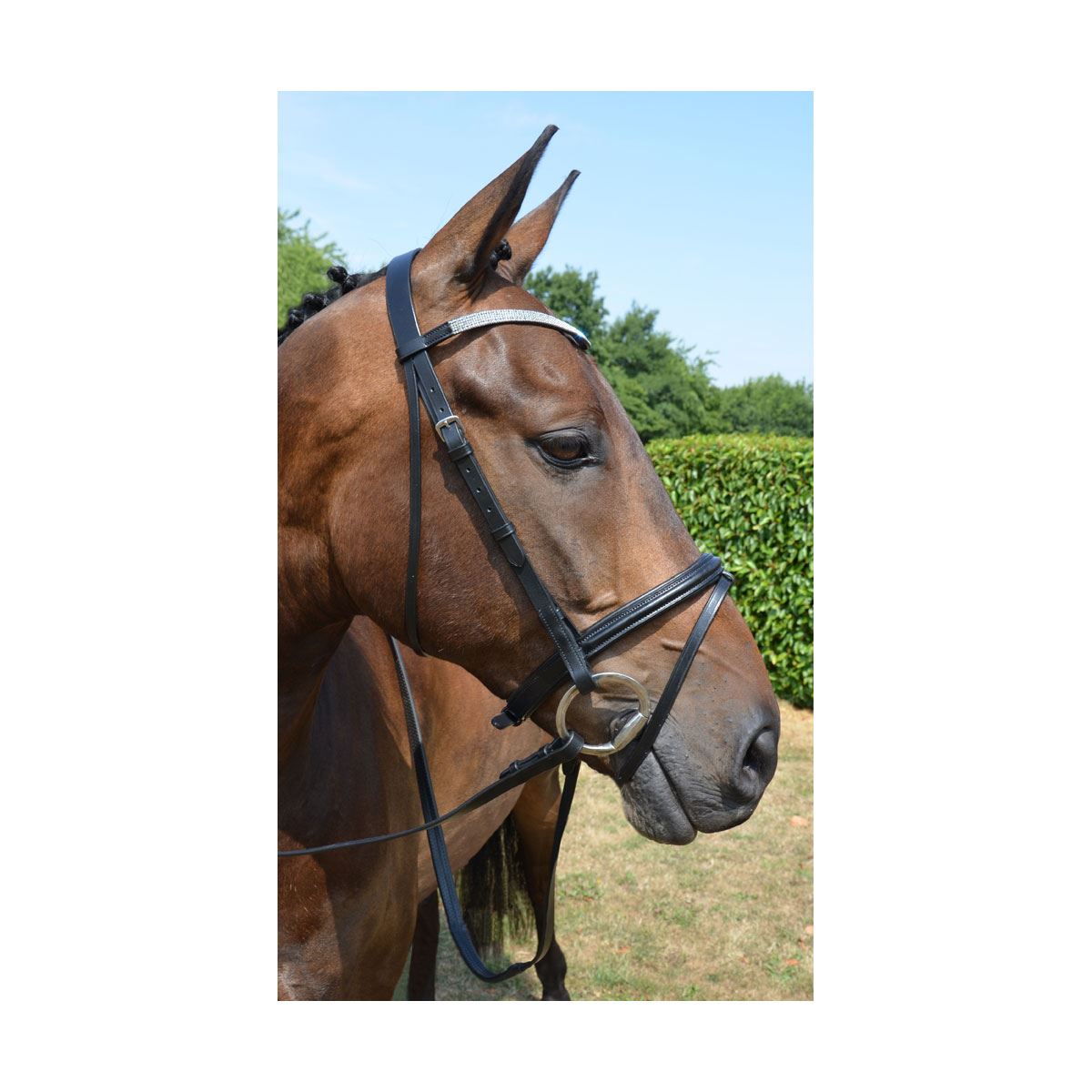 Hy Diamond Flash Bridle with Rubber Reins - Just Horse Riders