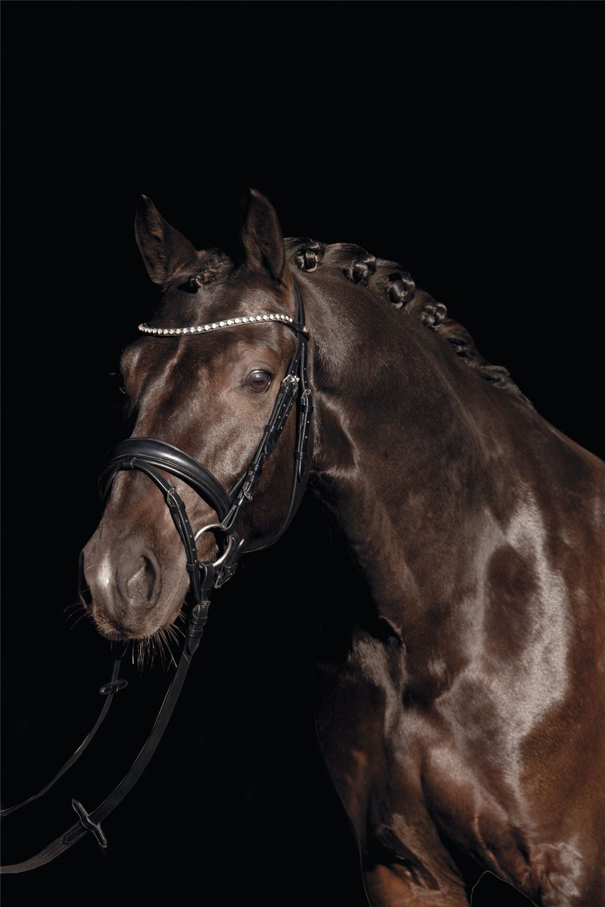 HKM Bridle Bella - Just Horse Riders