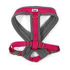 Ancol Viva Padded Harness - Just Horse Riders