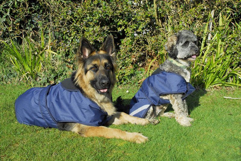 Rhinegold Highland Dog Coat - Just Horse Riders