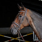 John Whitaker Chicago Perforated Flash Bridle (inc. 9-Loop Rubber Reins) - Just Horse Riders