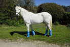 Rhinegold Elite Half Length Travel Boots - Just Horse Riders