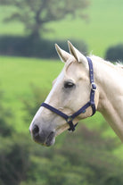 Shires Wessex Headcollar - Just Horse Riders