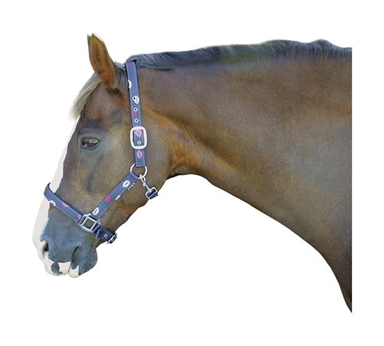 Hy Kiss Head Collar - Just Horse Riders