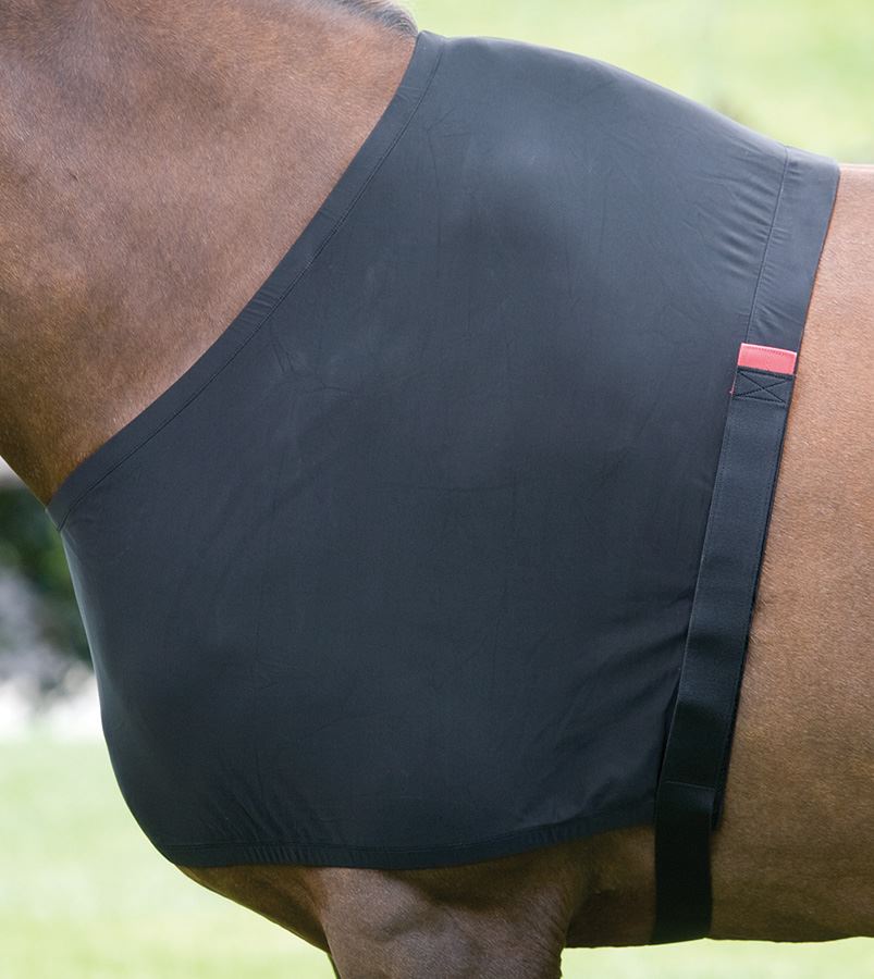 Shires Anti-Rub Stretch Vest - Just Horse Riders