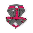 Ancol Viva Padded Harness - Just Horse Riders