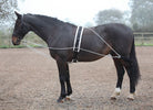 Shires Lunging Aid - Just Horse Riders