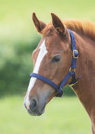 Shires Foal Headcollar - Just Horse Riders