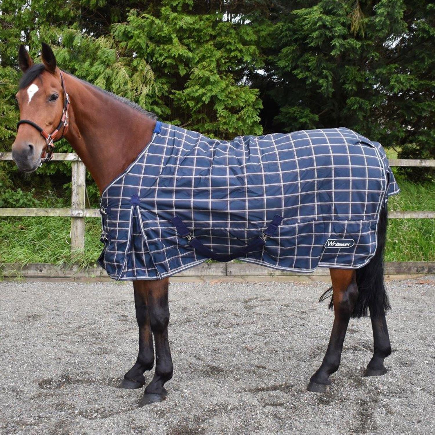 Whitaker Turnout Rug Darwen 200 Gm - Just Horse Riders