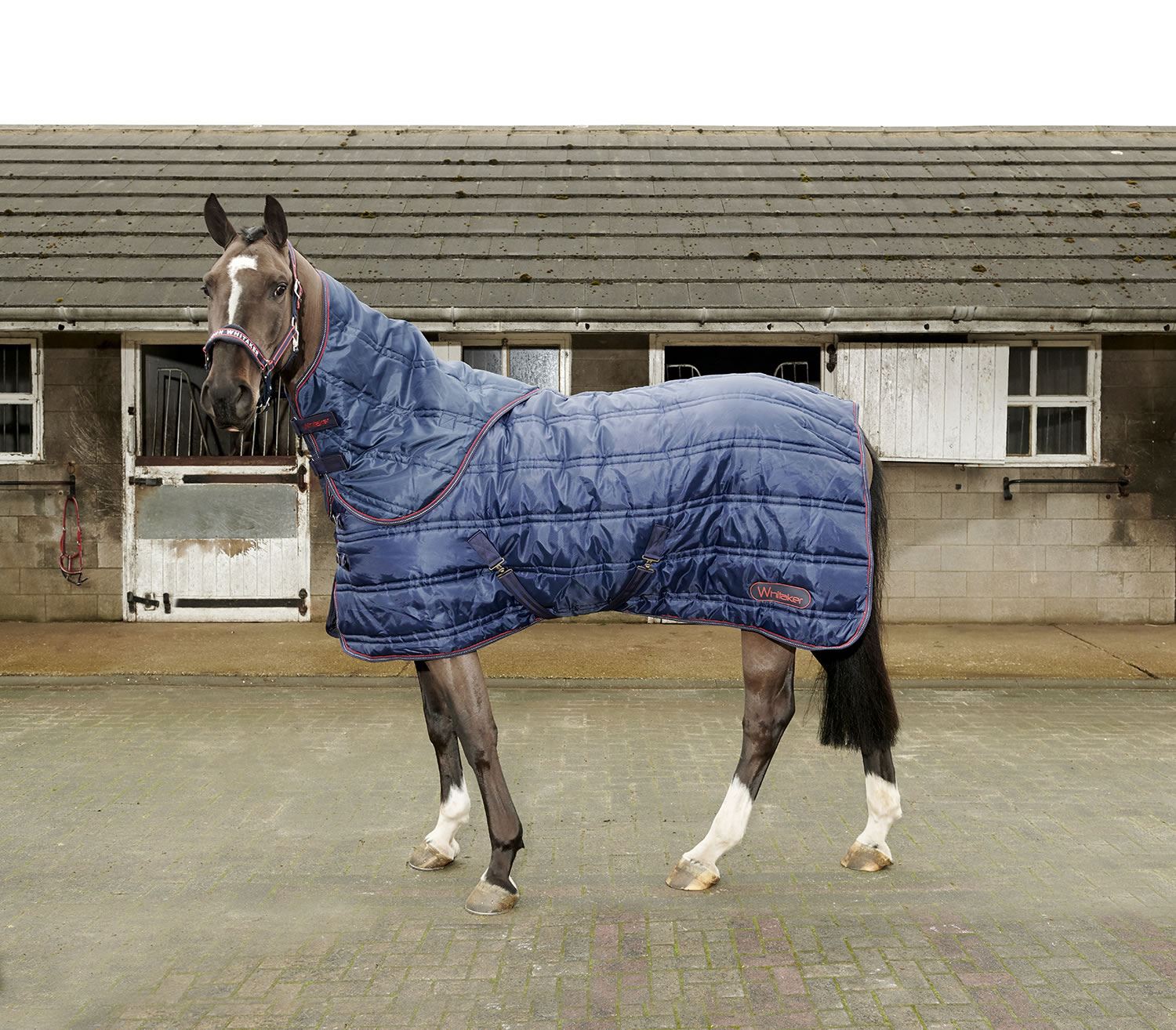 WHITAKER STABLE RUG RASTRICK COMBO 250 GM