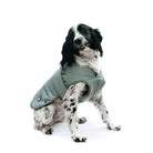 Ancol Ultimate Reflective Dog Coat - Just Horse Riders