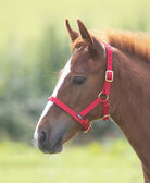 Shires Foal Headcollar - Just Horse Riders