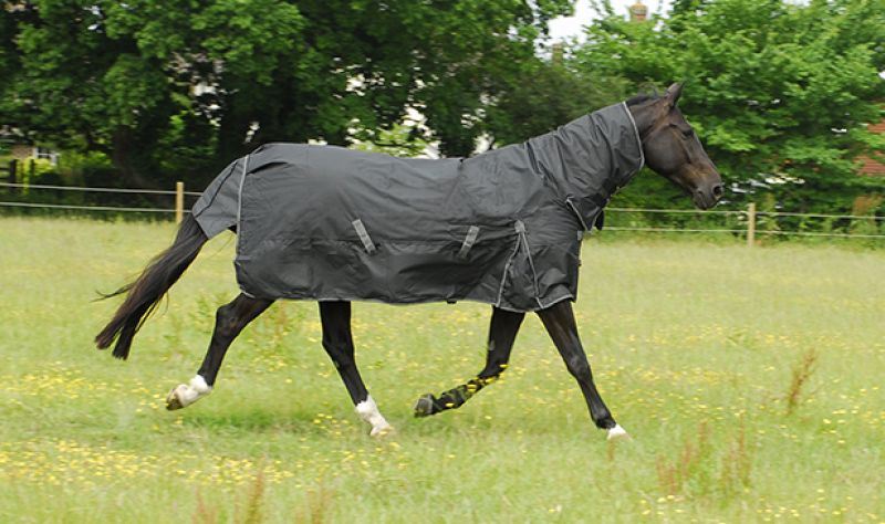 Rhinegold Full Neck Konig Outdoor Rug - Just Horse Riders