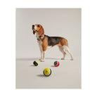 Joules Outdoor Balls - Just Horse Riders