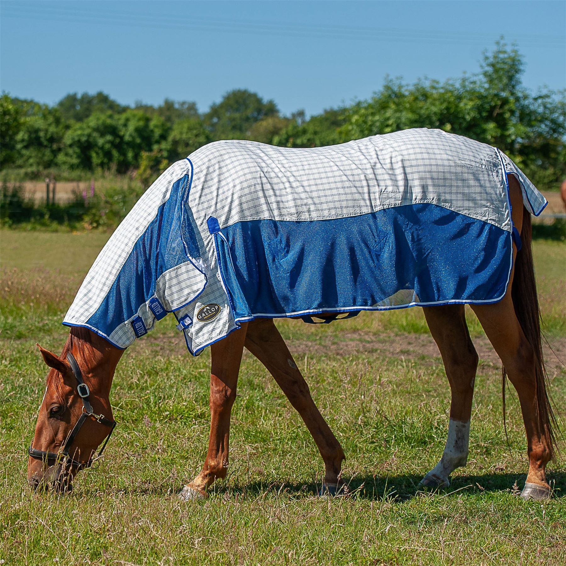 Gallop Equestrian Air Mesh Summer Sheet Combo - Just Horse Riders