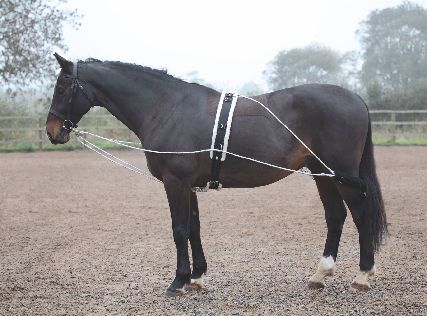 Shires Lunging Aid - Just Horse Riders