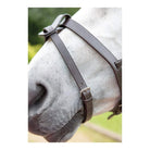 Shires Blenheim Flash Strap - Just Horse Riders